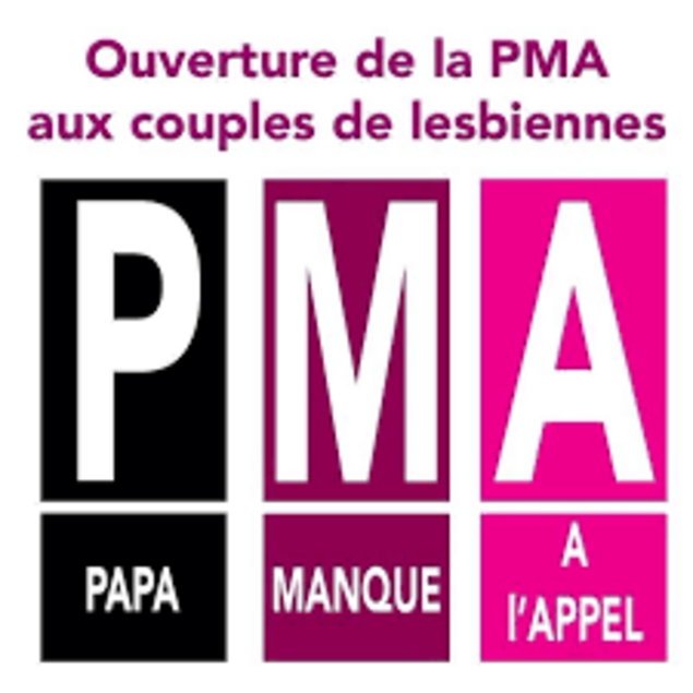 Les 50 nuances de LREM sur la PMA sans père