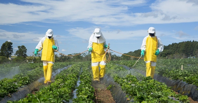 Pesticides : le maire de Langouët reçoit de nombreux soutiens, dont celui, un peu gêné, de Macron