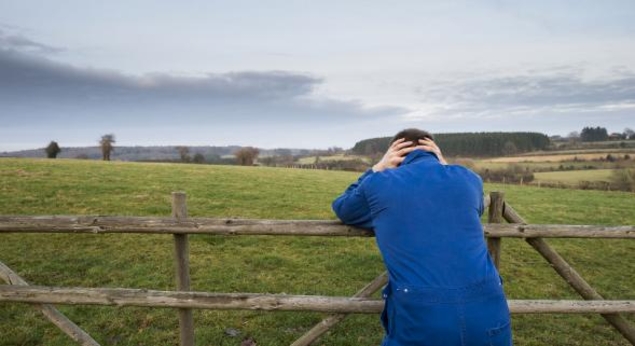 Près de 20% des agriculteurs n'ont dégagé aucun revenu en 2017