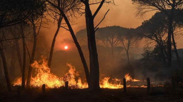 Un pyromane arrêté, surpris en train de déclencher un feu de forêt