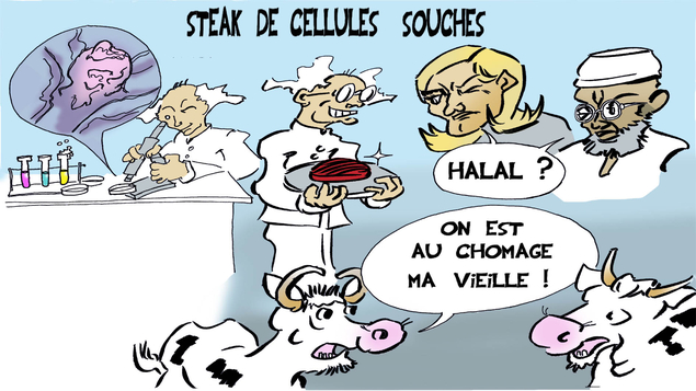 Le steak du futur : Halal ou pas ? 